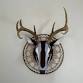 Sculpt & Stitch Fiber-Based Sculptures, 2 event image