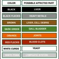 Other contaminants that may be related to change in water color include aluminum, copper, foaming agents, iron, manganese and total dissolved solids. Ion Cleanse Foot Bath Color Chart What Does The Color Change In The Water Mean