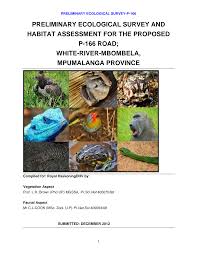 Image result for Zornia punctatissima