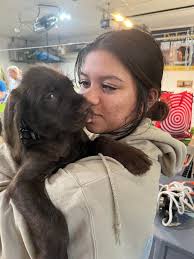 Hagen Orthotics & Prosthetics