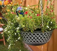 Can be planted in directly or used as a decorative planter in conjunction with nursery pot. Planters Containers For Home Garden Commercial Needs Mpg Planters