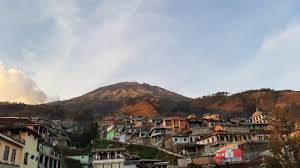 Perkebunan, memilih tanaman yang cocok dengan daerah dingin, seperti kina, teh, kopi, dan sayuran yang bisa hidup di daerah dingin. Bak Nepal Keindahan Dusun Tertinggi Di Kabupaten Magelang Dusun Butuh Yang Tiada Tara Halaman All Tribun Jogja