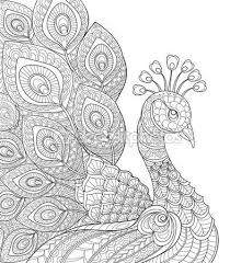 Peacock Coloring Page Stock Vektory Royalty Free Peacock Coloring Page Peacock Coloring Pages Coloring Books Antistress Coloring