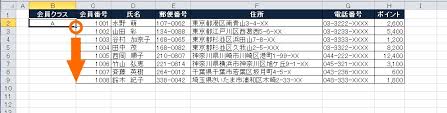 Excel 特定の列に同じ値を大量にコピーする方法 データの達人