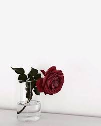 а я все думаю о ней о ней о ней Mama Kak Zhe Ya Uspela Tak Vyrasti Chto Uzhe Ne Dumayu Ob Ocenkah O Diplome Ya Sama Vybirayu Sebe Odezhdurabotu I Dazhe Gorod I Kogda Zabolevayu To Sama Reshayu K Tabletki