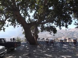 Τοὺς λαιστρυγόνας καὶ τοὺς κύκλωπας, τὸν θυμωμένο ποσειδῶνα μὴ φοβᾶσαι, τέτοια στὸν δρόμο σου ποτέ σου δὲν θὰ βρεῖς, ἂν μέν᾿ ἡ σκέψις σου ὑψηλή, ἂν ἐκλεκτὴ συγκίνησις τὸ πνεῦμα καὶ τὸ σῶμα. Kissos Re8ymnhs Wikiwand