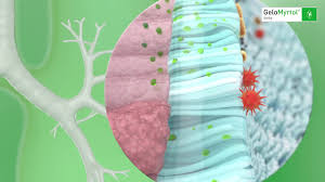 Der gelomyrtol einnahme wann produkttest hat gezeigt, dass das gesamtresultat des verglichenen vergleichssiegers im test extrem herausragen konnte. Gelomyrtol Forte