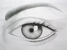 Image result for images of eyes for drawing