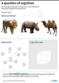 Complete guides including answers and tips for each section. Afp News Agency On Twitter Can You Pass The Cognition Test Taken By Realdonaldtrump Here Are Some Sample Questions From The Montreal Cognitive Assessment Https T Co Kgqds5grwf