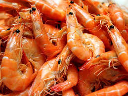 The condition for halal meat sea creatures is to have scales. Are Prawns Halal Q Id0354 Are Prawns Crabs Shellfish Halal To Eat