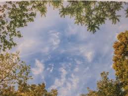 Deci, nu te supăra, dar tu nu trebuie tratarea pacienților. Ev Luth Kirchenkreis Ammerland Worte Die Mut Machen