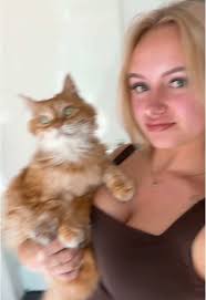 Met Bella: De Avonturen van Milo en Zijn Oranje Kat