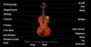In the meantime, we hope this tutorial on how to tune a violin helps you get started. 19 9 Everything You Need To Know Before Learning Violin Caswell S Strings