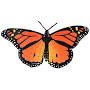 BUTTERFLY POOL from www.poolmosaics.com