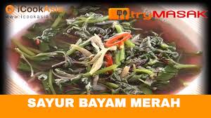 Sama seperti bayam hijau, bayam merah pun bisa kita olah menjadi sayur. Sayur Bayam Merah Try Masak Icookasia Youtube