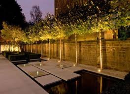 Uplighting Modern Landscaping Modern Landscape Lighting Landscape Lighting