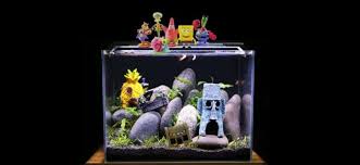 15 Fun Fish Tank Themes You Ll Want Try