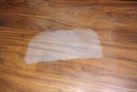 We did not find results for: Steam Mop Left A White Spot On Laminate Floor Homeimprovement