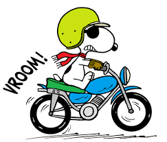 Pin On Snoopy And Some Of His Friends