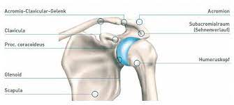 I serie g.80 bigliani g.81 cavaglià ii serie g.82 galiano g.83. Impingement Syndrom Schulter Klinik Am Ring