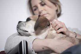 Ergotherapeutin Verena Möller