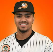 Long Island Ducks August 28 Roster Moves