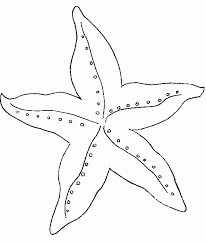 Below are some free printable starfish coloring pages for kids to print and color. Starfish Coloring Pages Hd Printable Coloring Pages Coloring Library