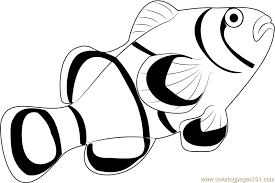 Download and print clownfish coloring pages for kids! Clown Fish Coloring Page For Kids Free Other Fish Printable Coloring Pages Online For Kids Coloringpages101 Com Coloring Pages For Kids