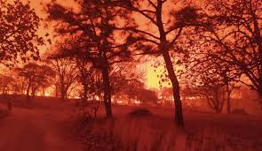 Leer más sobre buscará la udeg que el bosque de la primavera sea un organismo público descentralizado. Sr 5k5smq9nbcm