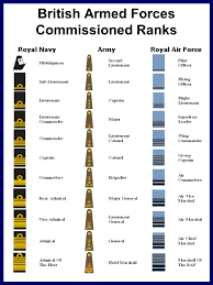 classification badges ppt video online download