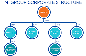 group corporate structure m1