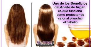 Aceite De Argan Para El Cabello Aceite De Argan Para El Cabello Tratamientos Para El Cabello Aceite Argan