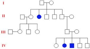 how to pedigree chart nicks genetics