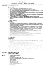 avp manager resume samples velvet jobs