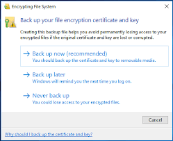 Full Guide Password Protect Google Drive Folder 3 Ways In 2020 Google Drive Filing System How To Remove