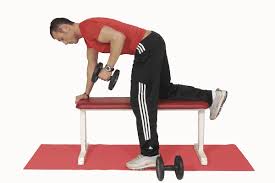 Check spelling or type a new query. Lats Latissimus Dorsi Exercises Fitness Com