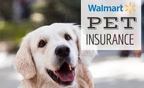 Walmart insurance services itself has no direct connection to these companies and does not handle claims, nor assist with them. Does Walmart Have Pet Insurance Our Experts Review Their Rx Pet Care Services Caninejournal Com