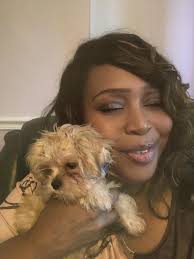 White small dog with recently cut hair