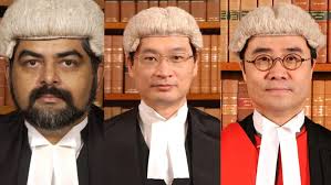 Same-sex couples not allowed subsidised Hong Kong housing because of  'scarcity of resources,' gov't argues in appeal