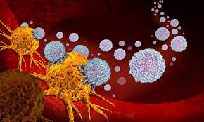 Determining if a mole is cancerous is not easy. Single Antibody Found To Shrink Seven Different Cancers Good News Network