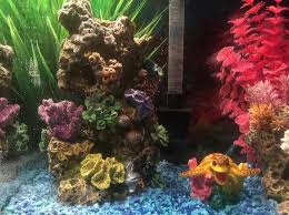 Must contain at least 4 different symbols; Top Fin Coral Plant Rocky Aquarium Ornament Fish Ornaments Petsmart