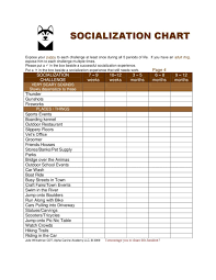 puppy socialization veterinary pet care puppy