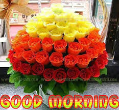 Get good morning wishes, pictures at wishgoodmorning.org. Good Morning Wishes With Flowers Pictures Images Page 24