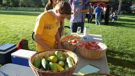 Tuesday Local Market 2026 Season