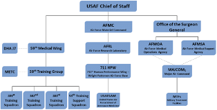 Afms Organization Chart Download Scientific Diagram