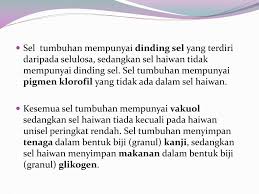 We did not find results for: Ppt Sel Haiwan Dan Tumbuhan Powerpoint Presentation Free Download Id 4939192