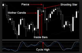 thomas n bulkowski encyclopedia of candlestick charts pdf