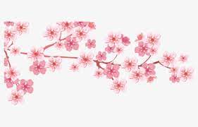 Free Cherry Blossom Clip Art With No Background Clipartkey This custom box background is free to use and edit, however you may not