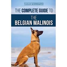Maybe you would like to learn more about one of these? Buy The Complete Guide To The Belgian Malinois Selecting Training Socializing Working Feeding And Loving Your New Malinois Puppy Paperback September 6 2020 Online In Indonesia 1952069807