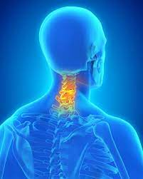 Social media links below ↓ relaxing back massage tutorial, neck & back pain relief, anatomy. A Literal Pain In The Neck The Center